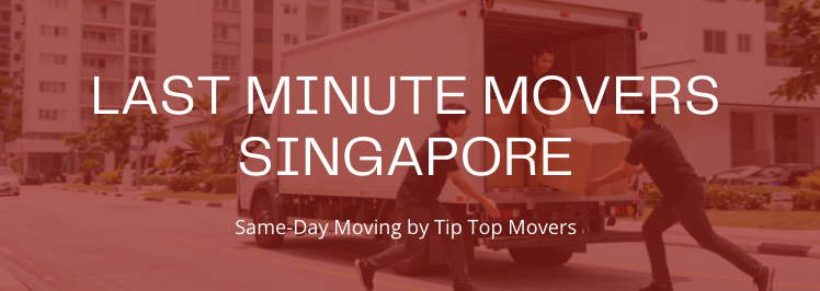 last minute movers singapore